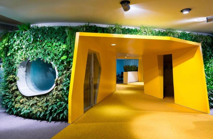 an-amazing-office-hallway-with-tantalizing-yellow-wall-and-flooring-with-natural-synthetical-plants-wall-application-with-unique-round-window